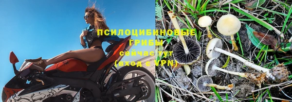 кристаллы Абаза
